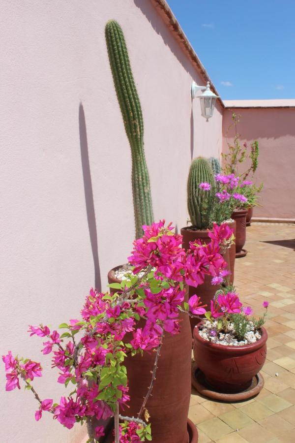 Riad El Arco Rooftop Pool & Spa มาร์ราเกช ภายนอก รูปภาพ